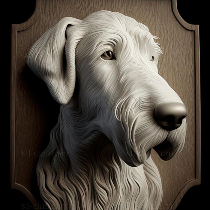 st Bedlington Terrier dog